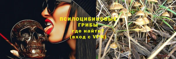 скорость Медвежьегорск