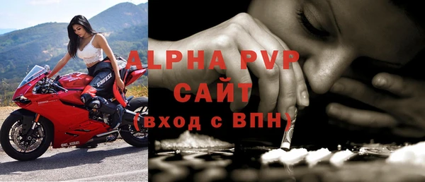 стаф Михайлов