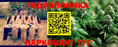 шишки Гусиноозёрск