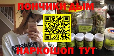 шишки Гусиноозёрск