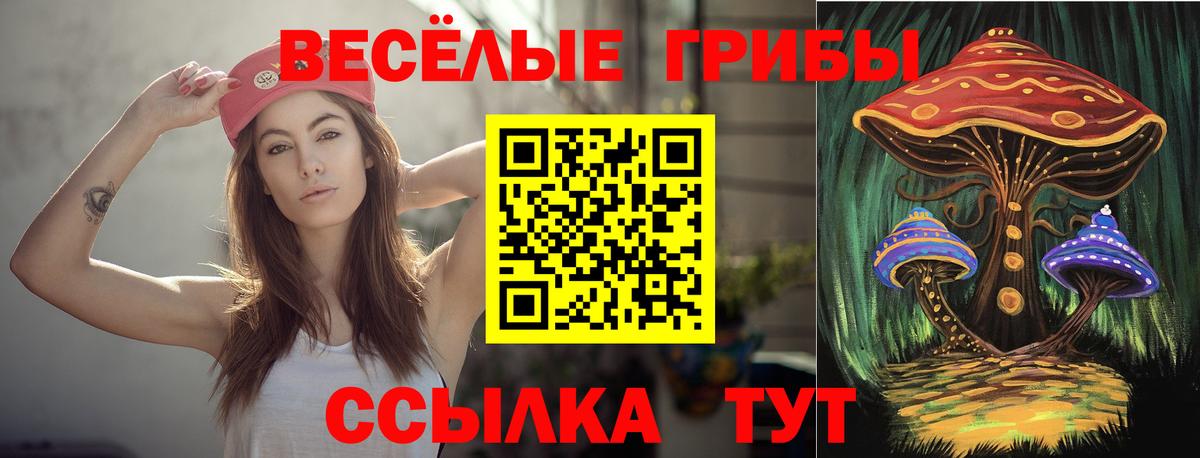 Псилоцибиновые грибы мицелий Михайловка