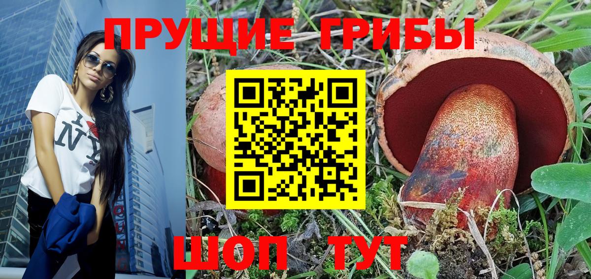 Галлюциногенные грибы MAGIC MUSHROOMS  Вход с VPN  Михайловка 