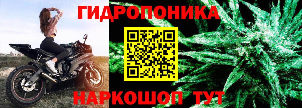 Марихуана семена Михайловка